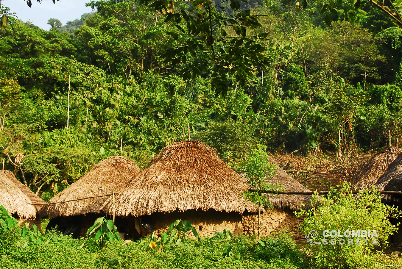 Ciudad Perdida en Caribe Secreto de Colombia Secreta